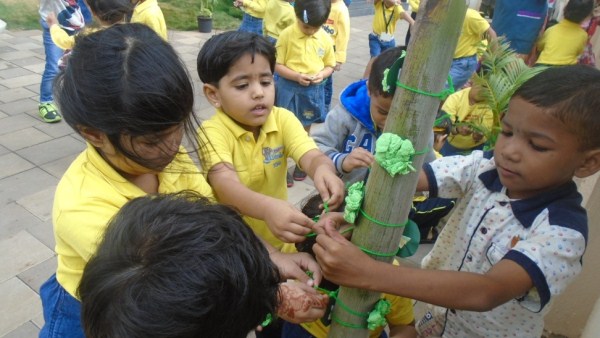 Rakshabandhan Save Trees - 2017 - talegaon