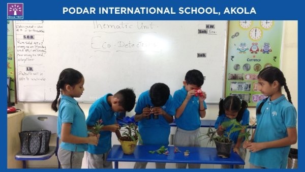 Eco Detectives - 2026 at Podar school Akola - image 5