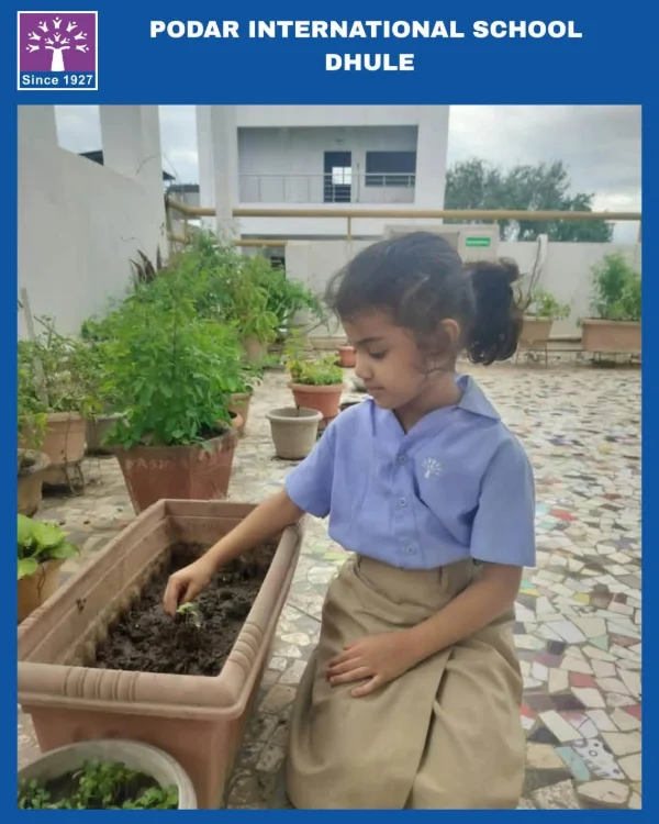 Plantation Drive - 2026 at Podar school Dhule - image 1