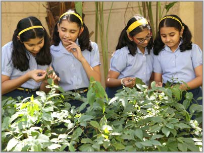 How do nursery schools in Wakad encourage curiosity and creativity?